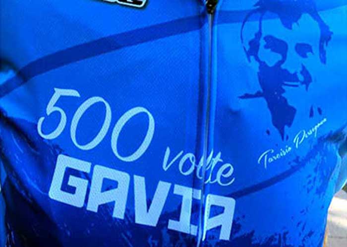 500Gavia